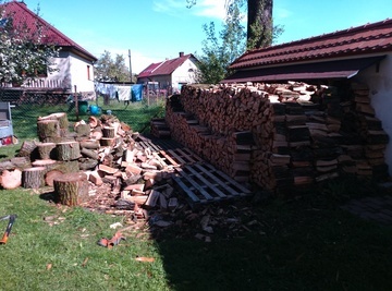Dřevo