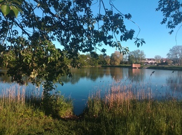 Jezero
